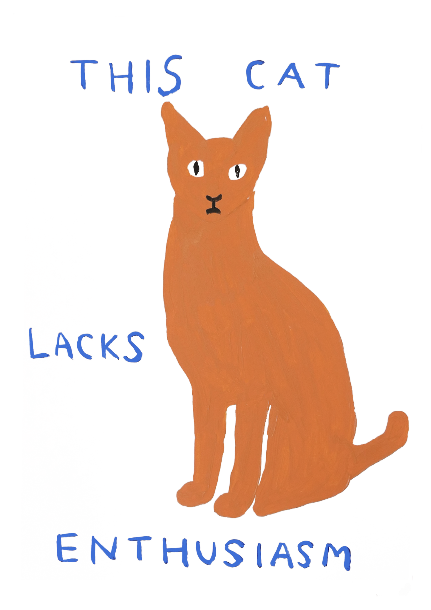This cat lacks enthusiasm