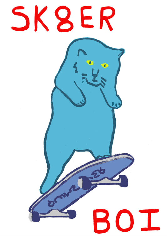 SKATER CAT